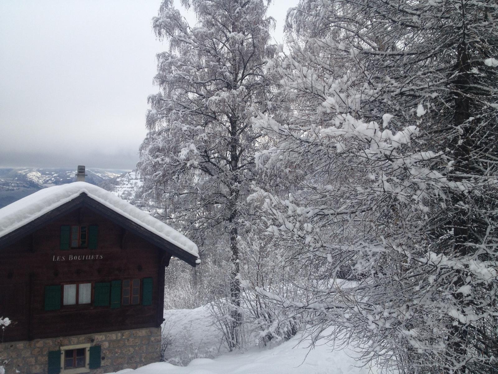 Het chalet in winterse omstandigheden